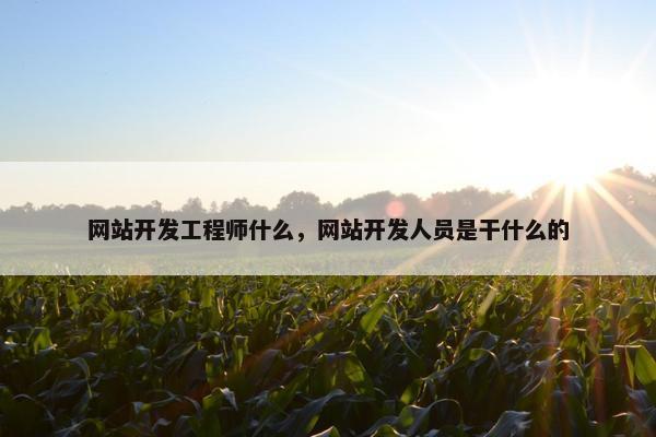 网站开发工程师什么，网站开发人员是干什么的