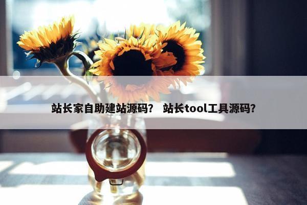站长家自助建站源码？ 站长tool工具源码？