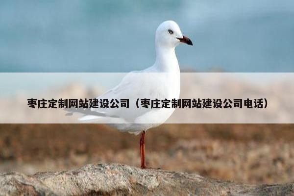 枣庄定制网站建设公司（枣庄定制网站建设公司电话）