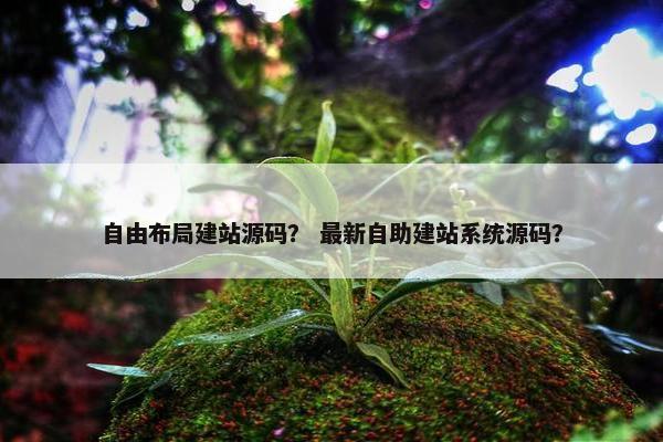自由布局建站源码？ 最新自助建站系统源码？