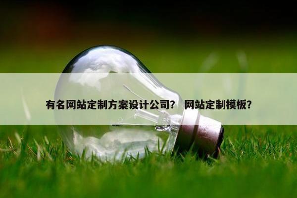 有名网站定制方案设计公司？ 网站定制模板？