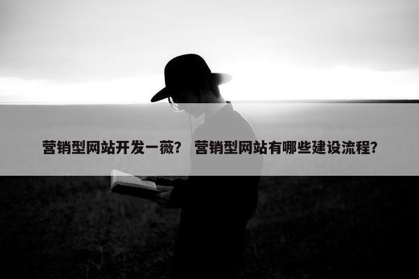 营销型网站开发一薇？ 营销型网站有哪些建设流程？