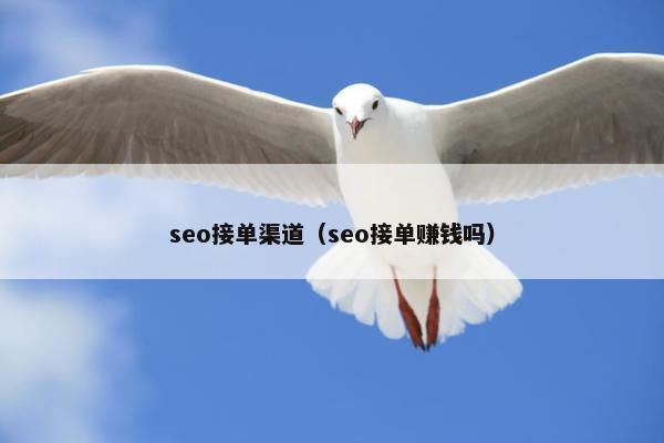seo接单渠道（seo接单赚钱吗）