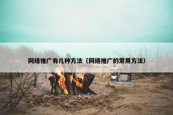 网络推广有几种方法（网络推广的常用方法）