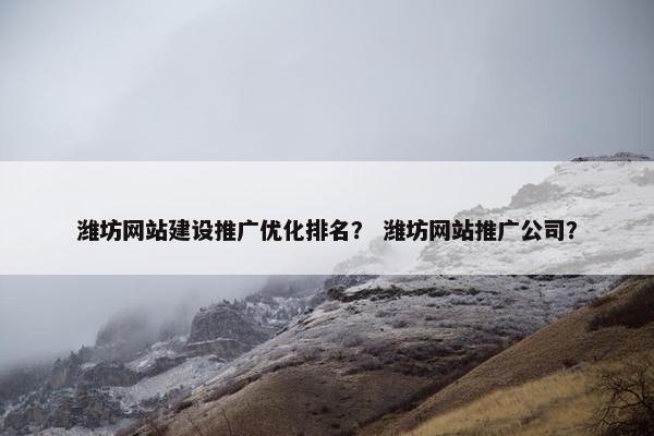 潍坊网站建设推广优化排名？ 潍坊网站推广公司？