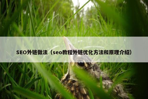 SEO外链做法（seo教程外链优化方法和原理介绍）