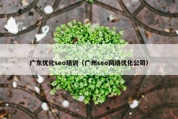 广东优化seo培训（广州seo网络优化公司）