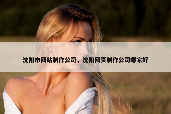 沈阳市网站制作公司，沈阳网页制作公司哪家好