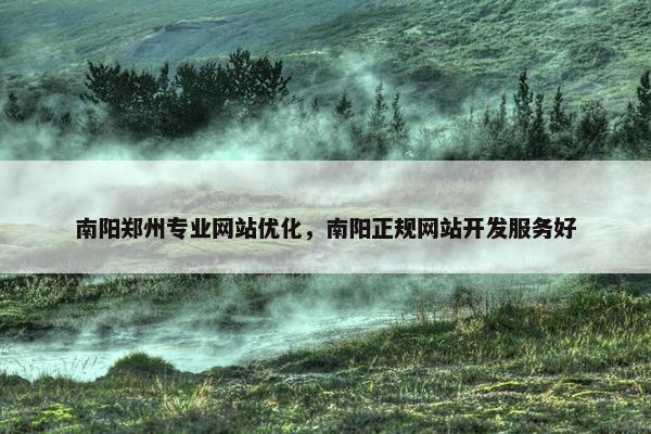 南阳郑州专业网站优化，南阳正规网站开发服务好