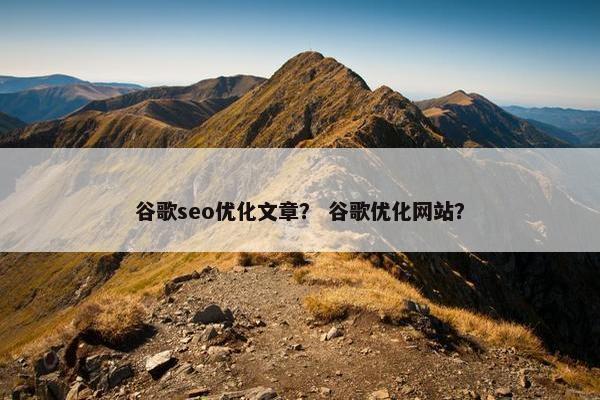 谷歌seo优化文章？ 谷歌优化网站？