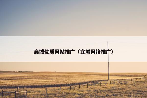 襄城优质网站推广（宜城网络推广）