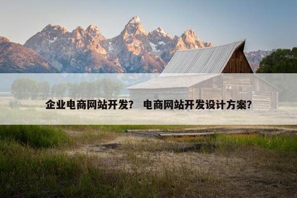企业电商网站开发？ 电商网站开发设计方案？