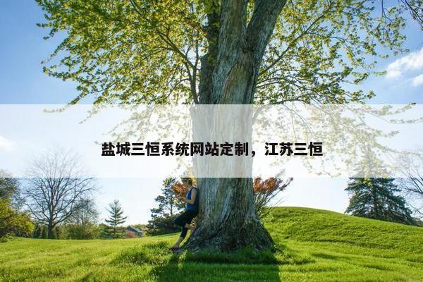 盐城三恒系统网站定制，江苏三恒