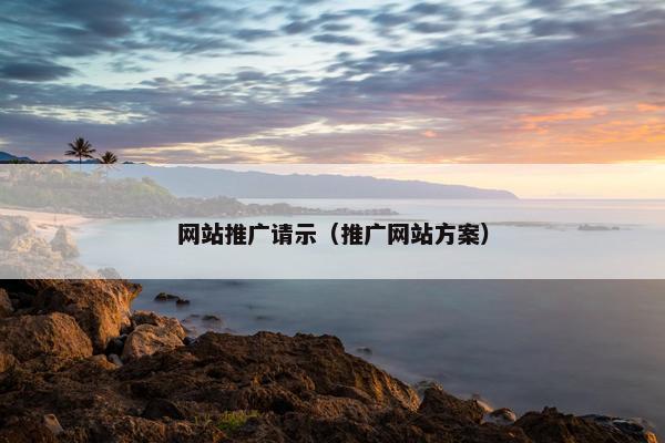 网站推广请示（推广网站方案）