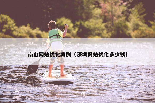 南山网站优化案例（深圳网站优化多少钱）