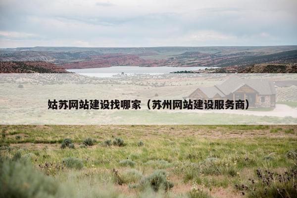 姑苏网站建设找哪家（苏州网站建设服务商）