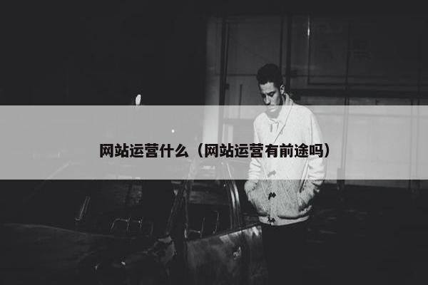 网站运营什么（网站运营有前途吗）