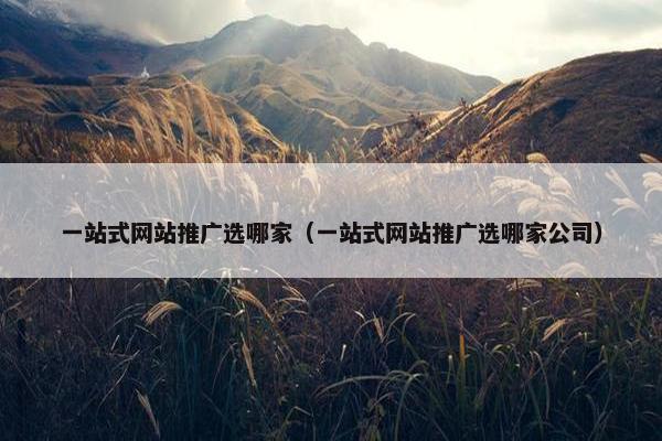 一站式网站推广选哪家（一站式网站推广选哪家公司）