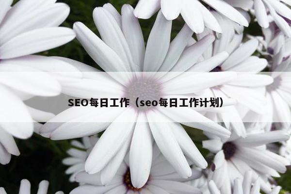 SEO每日工作（seo每日工作计划）