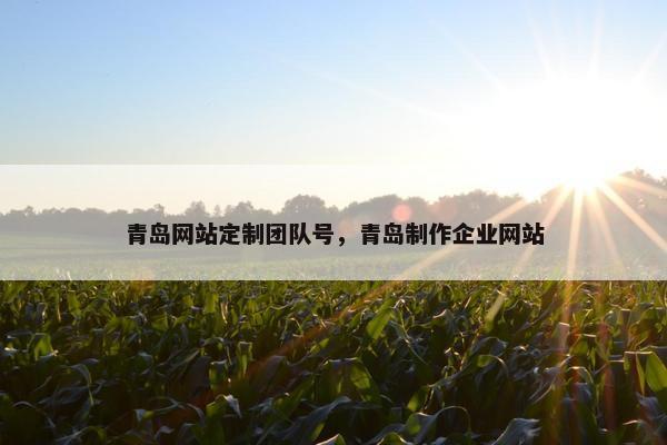 青岛网站定制团队号，青岛制作企业网站