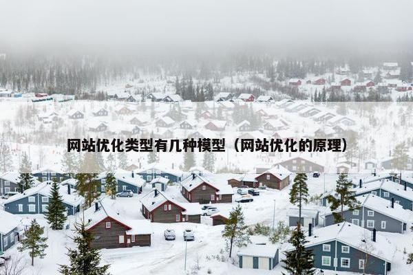 网站优化类型有几种模型（网站优化的原理）