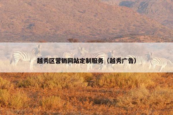 越秀区营销网站定制服务（越秀广告）