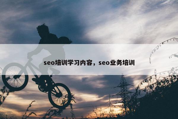 seo培训学习内容，seo业务培训