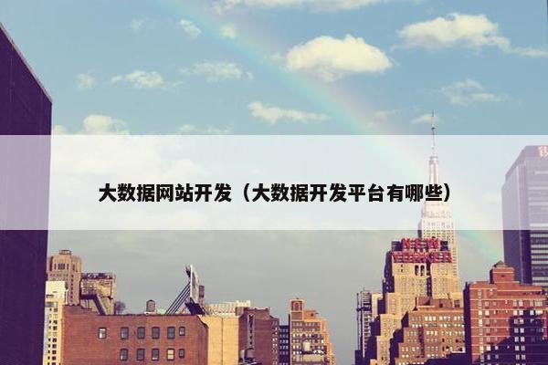 大数据网站开发（大数据开发平台有哪些）
