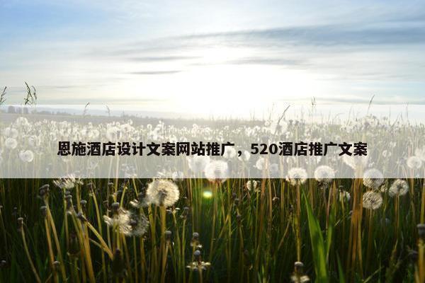 恩施酒店设计文案网站推广，520酒店推广文案