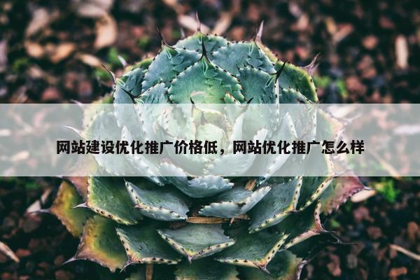 网站建设优化推广价格低，网站优化推广怎么样