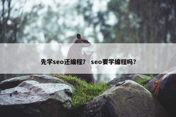 先学seo还编程？ seo要学编程吗？