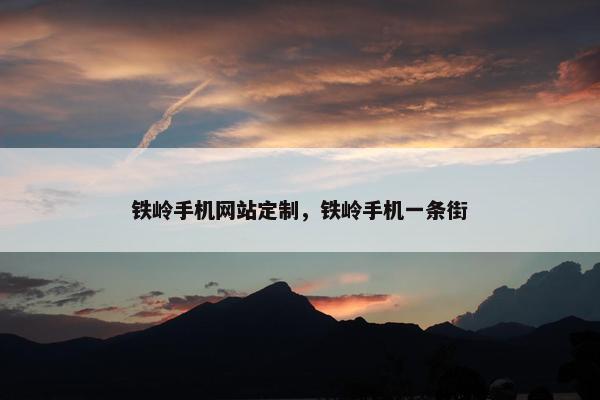 铁岭手机网站定制，铁岭手机一条街