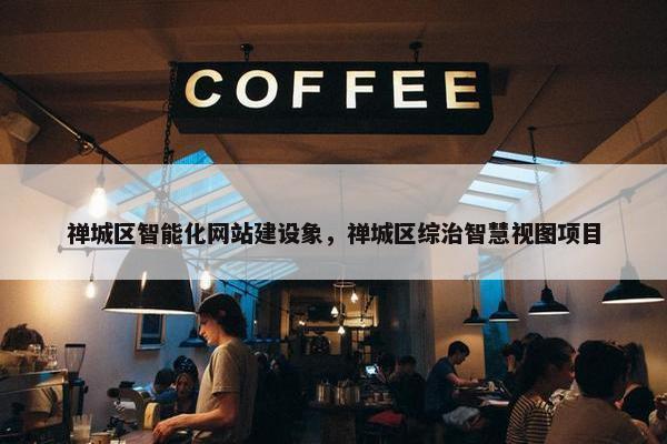禅城区智能化网站建设象，禅城区综治智慧视图项目