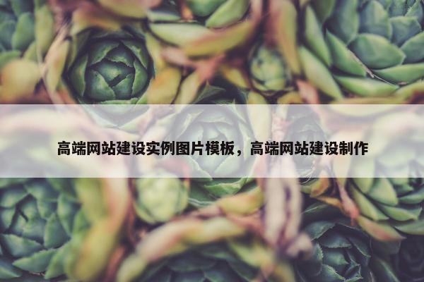 高端网站建设实例图片模板，高端网站建设制作