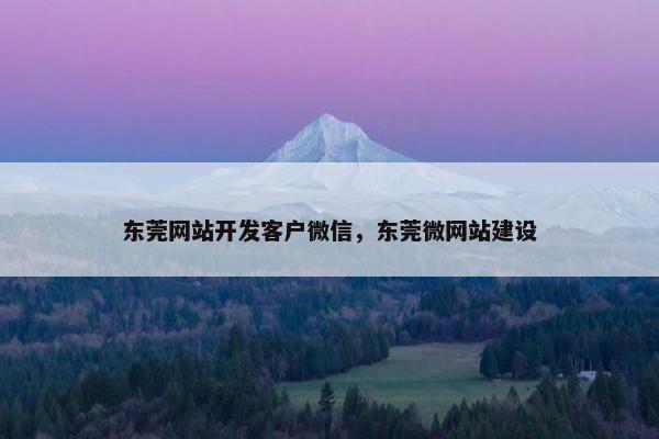 东莞网站开发客户微信，东莞微网站建设