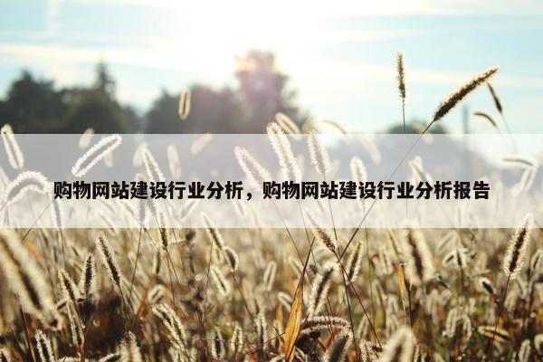 购物网站建设行业分析，购物网站建设行业分析报告