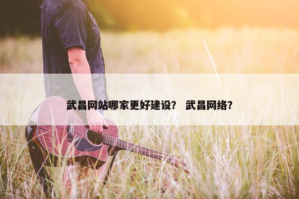 武昌网站哪家更好建设？ 武昌网络？