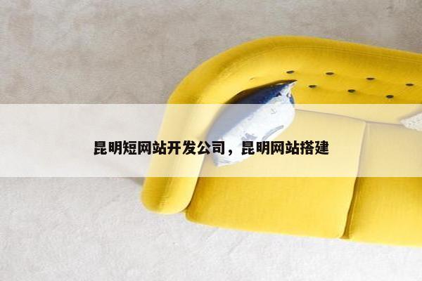 昆明短网站开发公司，昆明网站搭建