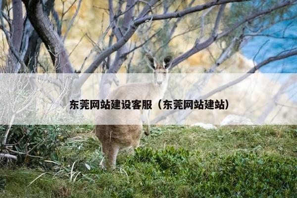 东莞网站建设客服（东莞网站建站）