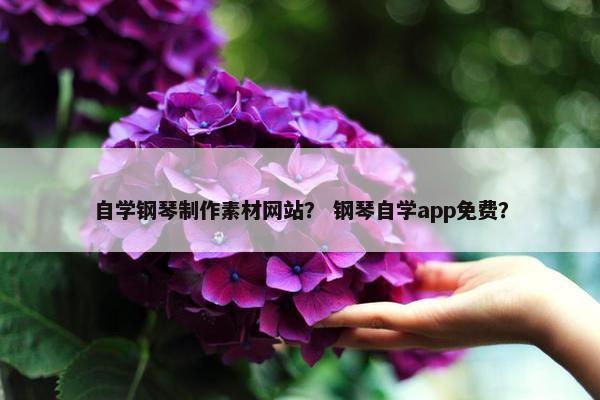 自学钢琴制作素材网站？ 钢琴自学app免费？