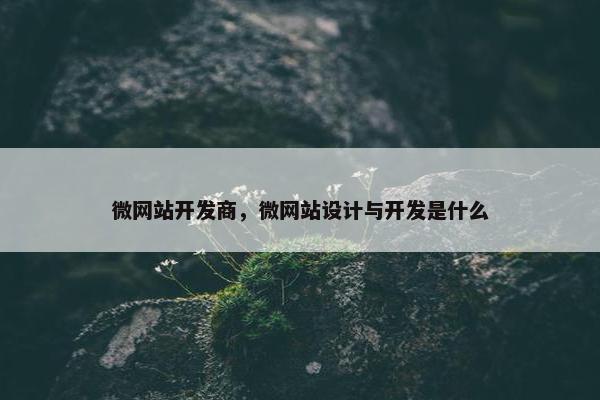 微网站开发商，微网站设计与开发是什么