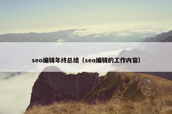 seo编辑年终总结（seo编辑的工作内容）