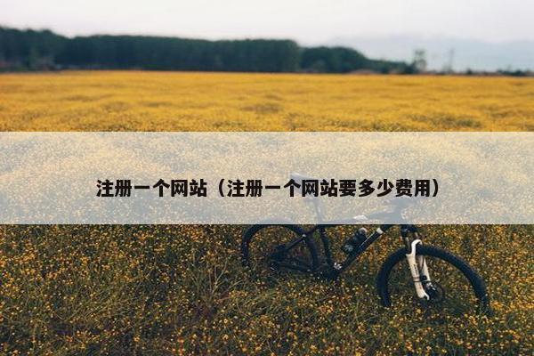 注册一个网站（注册一个网站要多少费用）