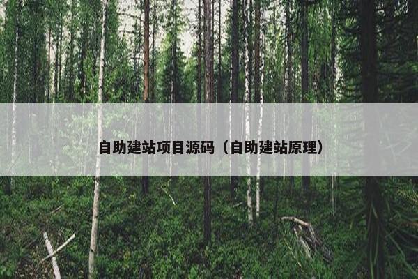 自助建站项目源码（自助建站原理）