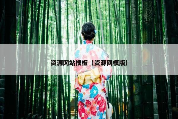 资源网站模板（资源网模版）