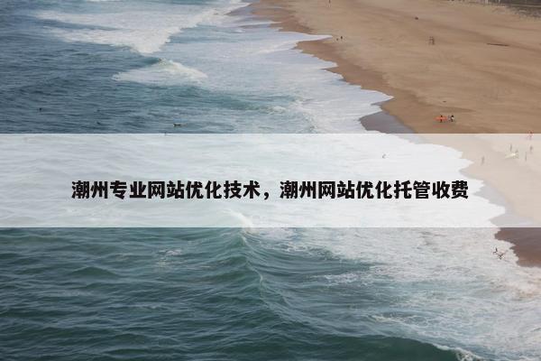 潮州专业网站优化技术，潮州网站优化托管收费