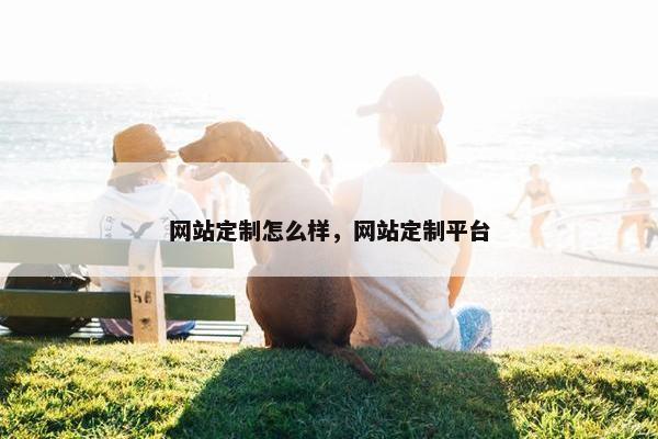 网站定制怎么样，网站定制平台