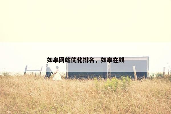 如皋网站优化排名，如皋在线