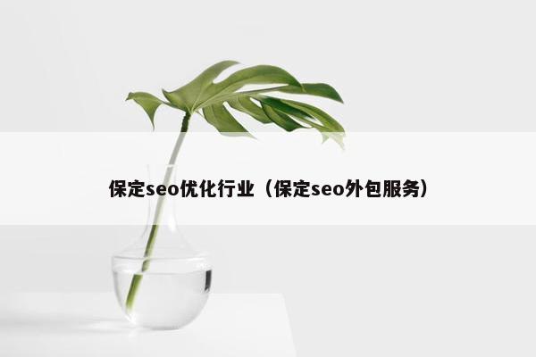 保定seo优化行业（保定seo外包服务）
