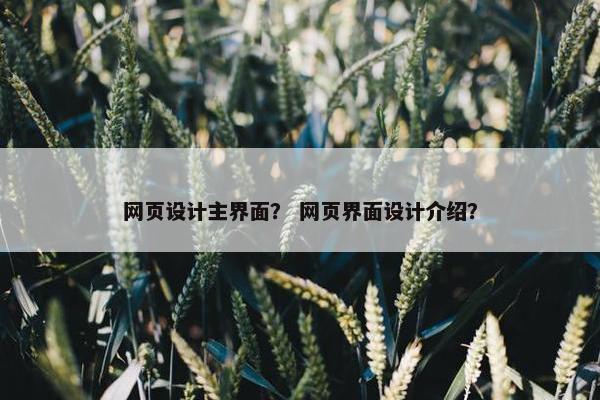 网页设计主界面？ 网页界面设计介绍？